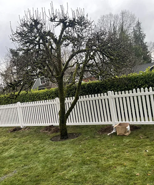 Vinyl Fence in Covington 